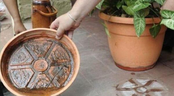 No nos olvidemos de eliminar criaderos de mosquitos tras las lluvias – Prensa 5