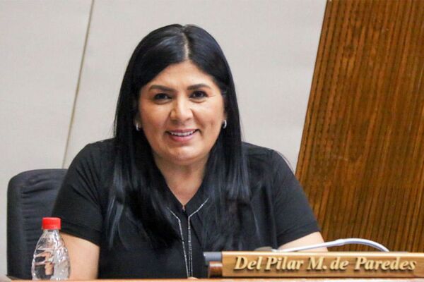 Diputada plantea corregir datos técnicos consignados erróneamente en una ley de desafectación