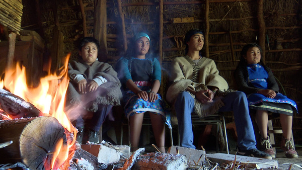 Diario HOY | Inicia 6° edición del Festival de Cine Ambiental y Derechos Humanos en Paraguay