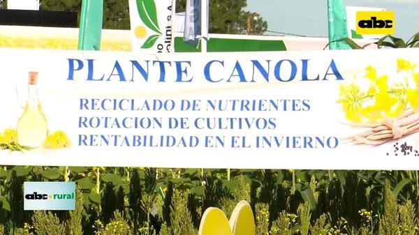 Preparan Expo Agrodinámica - ABC Rural - ABC Color