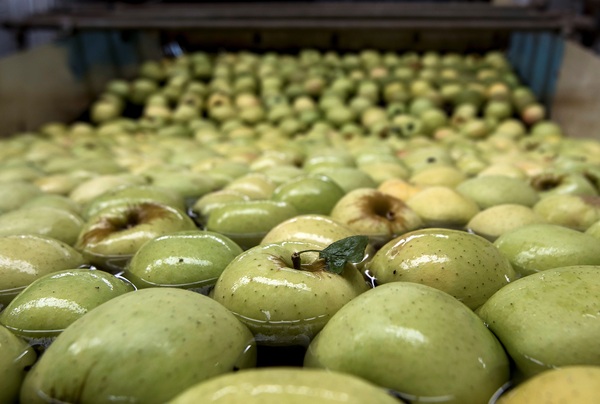 FAO: En 10 años, Latinoamérica incrementará superavit agroalimentario en 28 % - MarketData