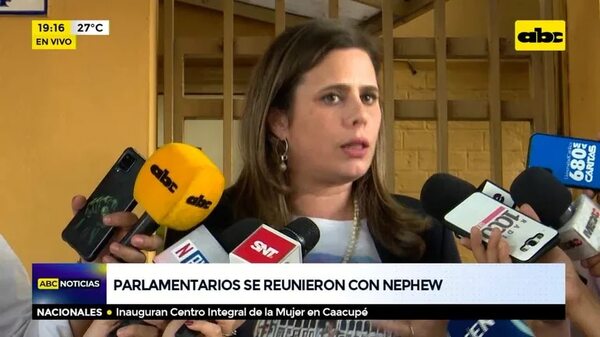 Parlamentarios se reunieron con Nephew - ABC Noticias - ABC Color