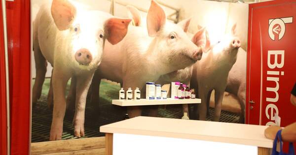 La Nación / Paraguay participa de Pork Expo en Brasil