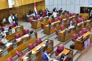 En el Senado aplazan el “platal” para Petropar - Política - ABC Color