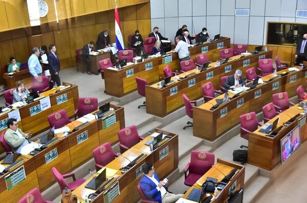 En el Senado aplazan el “platal” para Petropar - Política - ABC Color