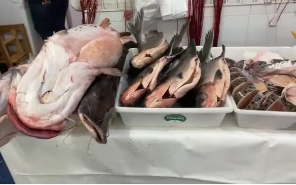 Pescaderías ofertan productos ante inicio de veda - Nacionales - ABC Color