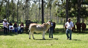 Se desarrolla la Expo Guairá con grandes expectativas