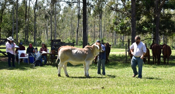 Se desarrolla la Expo Guairá con grandes expectativas