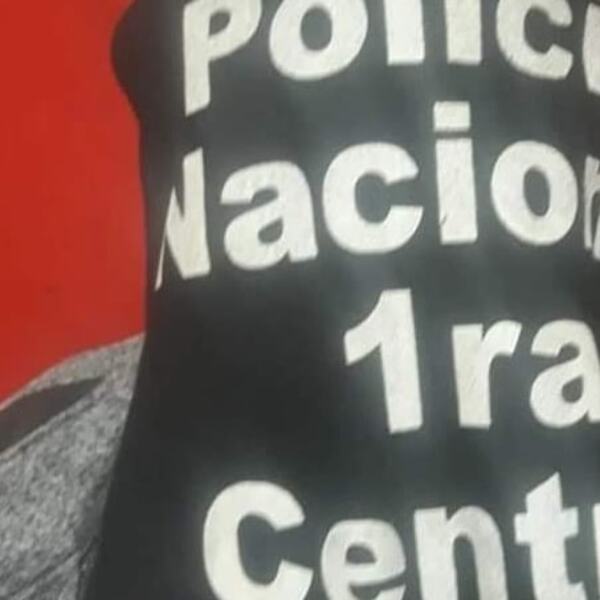 SUCESOS POLICIALES - La Voz del Norte