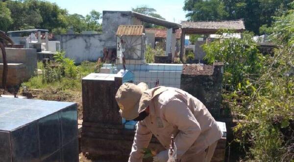 Plan operativo, lanzado por parte de Senepa para los días 1 y 2 de noviembre – Prensa 5