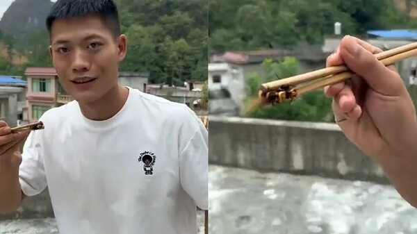 Influencer chino, terminó con el rostro desfigurado después de ralizar reto de comerse una avispa viva