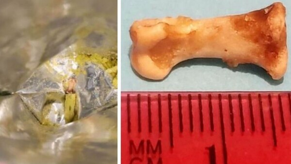 Abrió un paquete de snacks y encontró un hueso de dedo