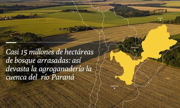 Deforestación de la cuenca del Paraná
