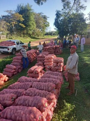 Comercialización conjunta de papa y cebolla genera beneficios a productores de María Antonia - Nacionales - ABC Color