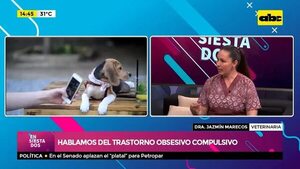 Hablamos del trastorno obsesivo compulsivo - Ensiestados - ABC Color