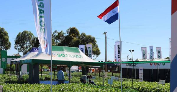 La Nación / Itapúa: Expo Agrodinámica mostrará la evolución tecnológica del campo y los avances en la agricultura