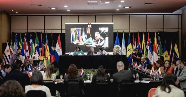 La Nación / Concluye reunión del Instituto Interamericano del Niño, la Niña y Adolescentes realizada en Asunción