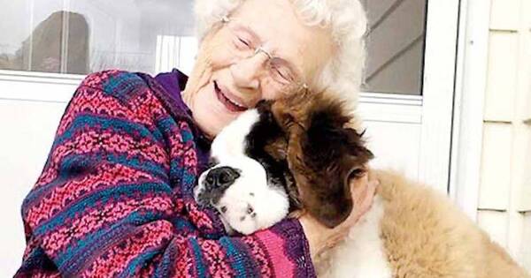 La Nación / Mascotas contra el Alzheimer