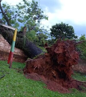 Temporal causó destrozos en Santaní esta mañana - Nacionales - ABC Color