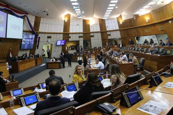 Diputados instan a aplicar multas ante faltas electorales - ADN Digital