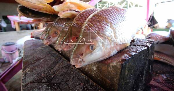 La Nación / Feria de pescado en Zeballos Cué: ofertan productos antes del inicio de la veda