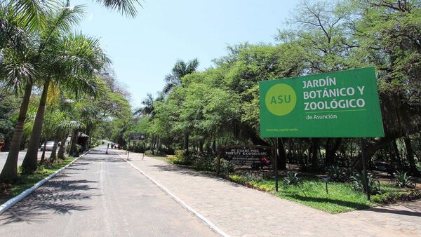 Monos capuchinos sueltos en zoológico atacan a niños