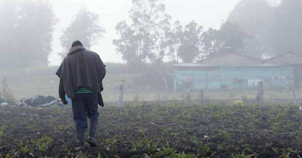 La Nación / Prevén que irrupción de aire polar sobre el área agrícola sea la última de esta primavera