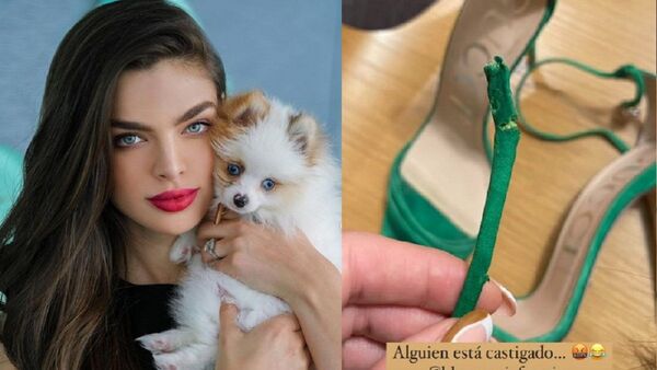 Nadia Ferreira contó que perrito akâhatâ mordió su zapato chuchi