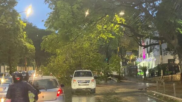 Caída de un árbol obstaculiza el tránsito sobre la avenida Mariscal López - Nacionales - ABC Color