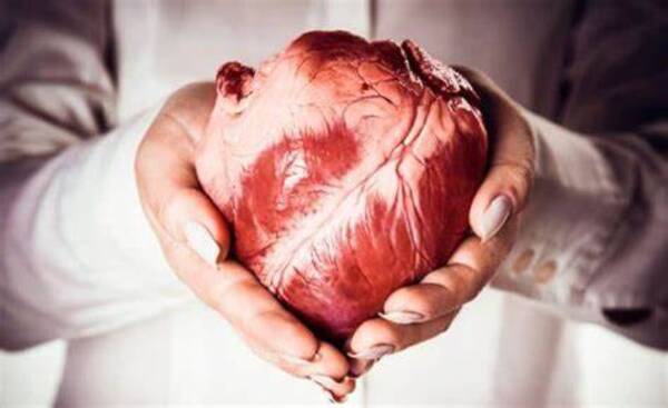 Crónica / ¡Una nueva oportunidad! Tras un año de espera recibió un nuevo corazón