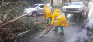 Árboles caídos por tormenta bloquean diversas vías de Asunción