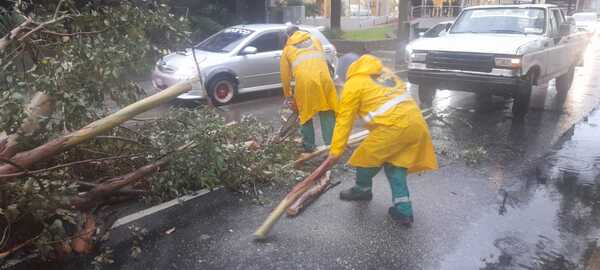 Árboles caídos por tormenta bloquean diversas vías de Asunción