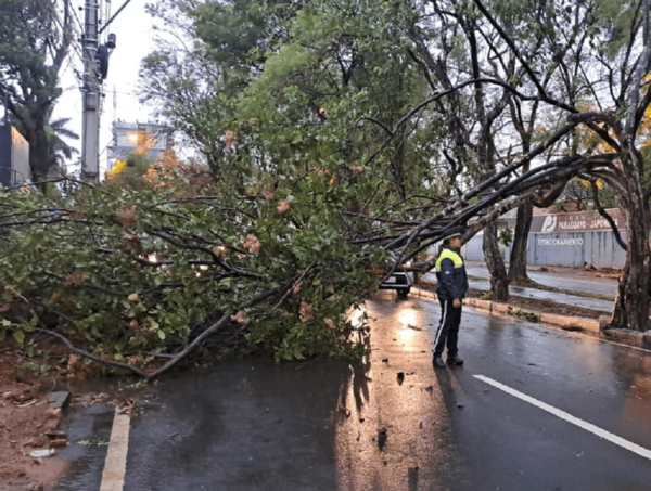 Árboles caídos generan congestionamientos vehiculares en varios puntos del país · Radio Monumental 1080 AM