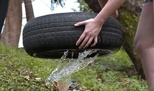Dengue: 109 notificaciones de sospecha - Nacionales - ABC Color