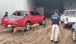 Asalto a una agroganadera, se llevaron productos químicos por un valor a US$ 40.000 – Prensa 5