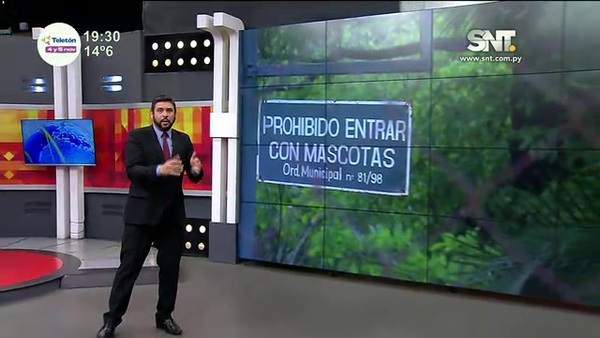 El paseo del miedo: Monos capuchinos atacaron a niños - SNT
