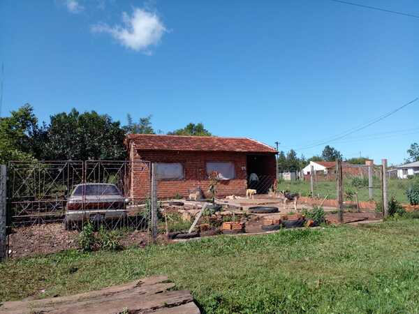 Diario HOY | Hermanos mueren electrocutados: intentaban robar gallinas, según la denuncia