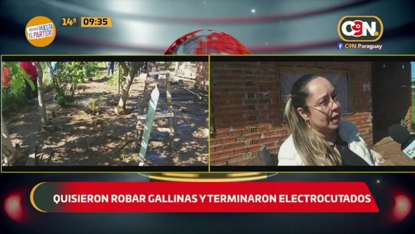 Quisieron robar gallinas y terminaron electrocutados - C9N