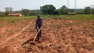 Prolongada lluvia afecta cultivos agrícolas de la temporada - Nacionales - ABC Color