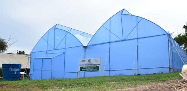 Fortalecen producción hortícola en Centro Agroecológico con aporte de la EBY | 1000 Noticias