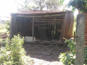 Dos hermanos mueren electrocutados al intentar robar gallinas y sus padres piden justicia - Policiales - ABC Color