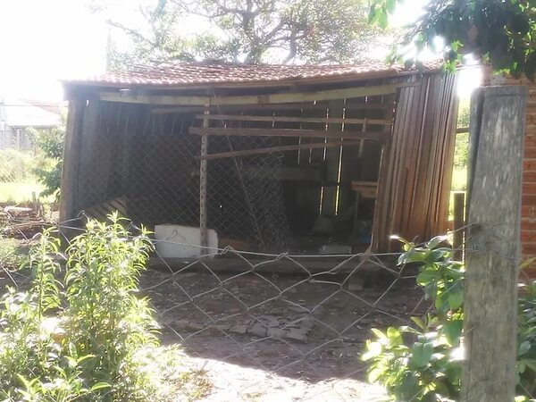 Dos hermanos mueren electrocutados al intentar robar gallinas y sus padres piden justicia - Policiales - ABC Color