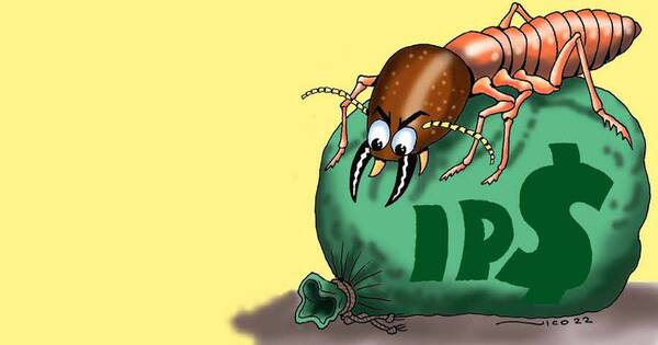 La Nación / Raro detector antitermitas condiciona llamado de G. 7.800 millones del IPS