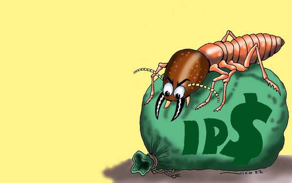 Diario HOY | Raro detector antitermitas condiciona llamado de G. 7.800 millones del IPS