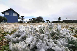 Inusual caída de nieve en el Estado brasileño de Santa Catarina - Radio Imperio
