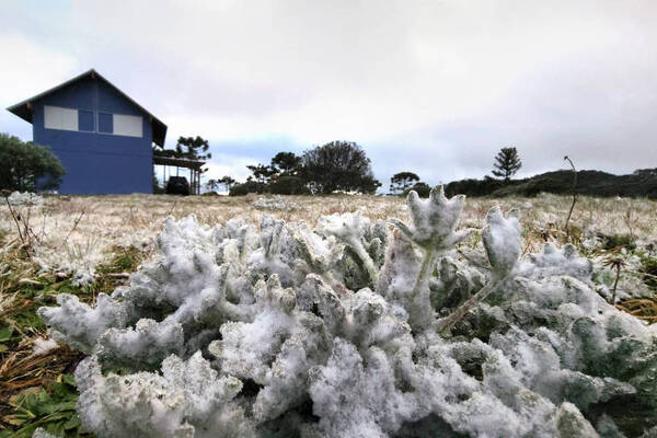 Inusual caída de nieve en el Estado brasileño de Santa Catarina - Radio Imperio