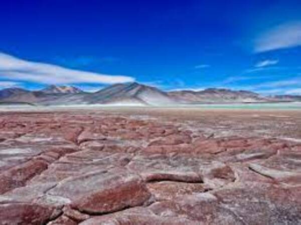 Desierto latinoamericano ampliado - El Independiente