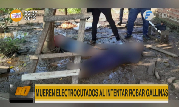 Mueren electrocutados al intentar robar gallinas en Encarnación | Telefuturo