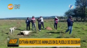 Extraña muerte de animales en Escobar atemoriza a los pobladores
