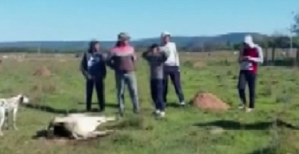 Extraña muerte de animales en Escobar atemoriza a los pobladores - Noticiero Paraguay